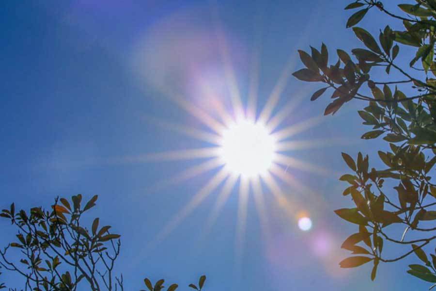 助剧本创作提升效率澳门新葡京AI辅(图2) 助剧本创作提升效率澳门新葡京AI辅(图2)